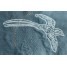 Tin projects - Tinbird II