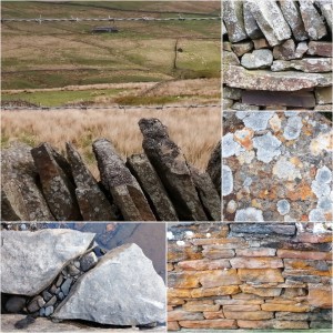 a collage of natural textures