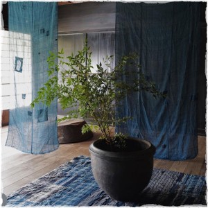 calm image of indigo hangings