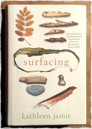 front cover of 'Surfacing'