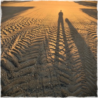 shadows of woman and dog on tractor tracks